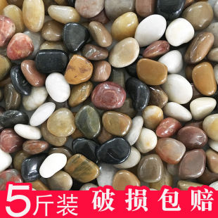 5���Z��ʯͥԺ䁵�ʯ�^���@�̨�b�����껨ʯԭʯ�Zܛʯ�·