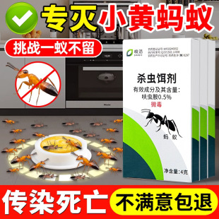 Λρș�T�D�� �����҃Ȝ���t�S�ڰ�Λρ�wρ���ñ���D���N