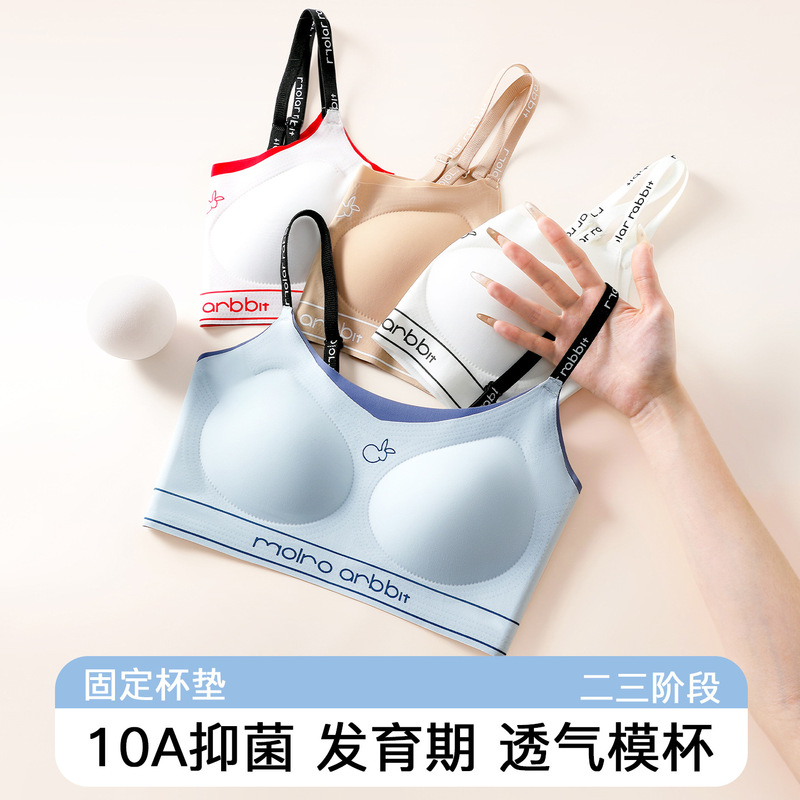 Developmental Period Girls' Underwear, Integrated Fixed Cup Seamless Breathable Sports Bra Vest for Junior and Senior High School Students Developmental Period Girls' Underwear, Integrated Fixed Cup Seamless Breathable Sports Bra Vest for Junior and Senior High School Students