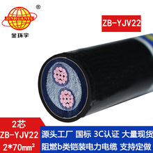 ��h�� ZB-YJV22-2X70ƽ�� ������ȼ�z�b�����|��r