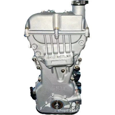Engine assembly for 06 Lefeng 10