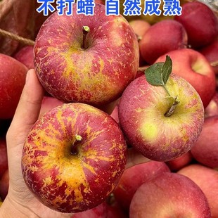 2025���r���ɽ���O��10��������O��ˮ�����������}Դ�Ĵ��t��