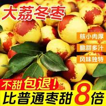 正宗陕西大荔冬枣新鲜大枣特大脆甜冬枣新鲜水果顺丰5斤整箱包邮
