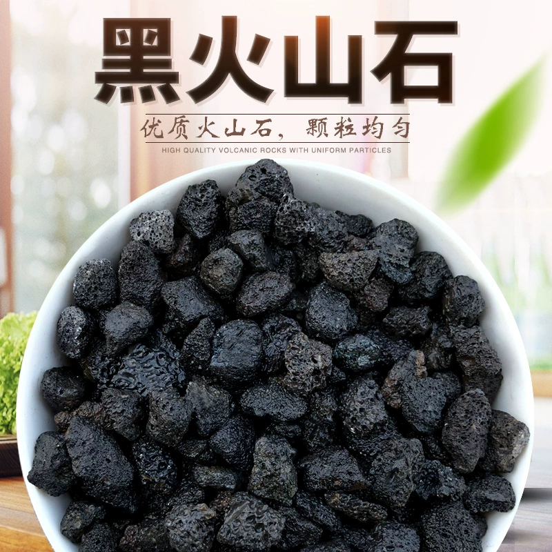 Фабрика Оптовая генерация частиц черного вулканического камня мясистого покрытия, смешанного с почвой, орхидеей, аквариум, пейзаж, фильтрация вулканических пород