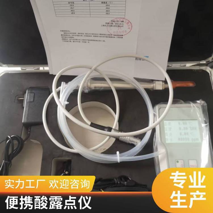 DP900-G 在线式检测酸露点仪 测量烟气酸露点 锅炉行业应用