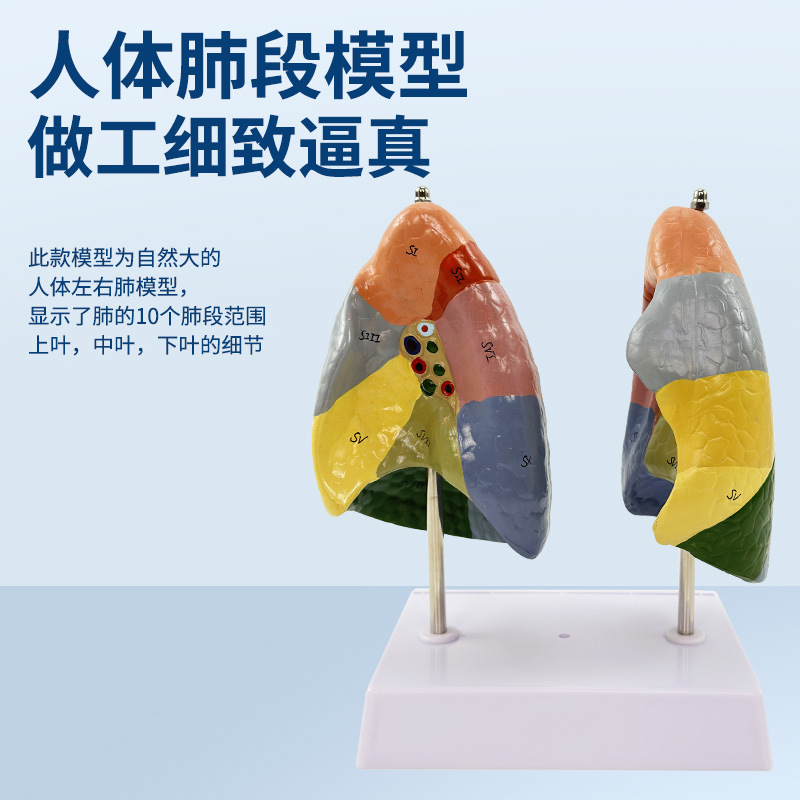 ɫ�ַζ�ģ�� �����ģ�� ��ɫ������ �ν��� ����ϵͳ �ζη���