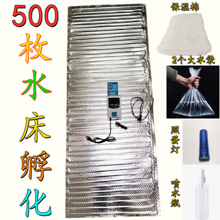 Free Shipping for Homemade Home Incubation Large Water Bed Incubator Full Set of Accessories Chicken Duck Goose Incubator Constant Temperature Control Plus
