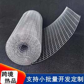 定制跨境镀锌电焊网热镀锌小孔大孔丝网卷防护隔离焊接网片
