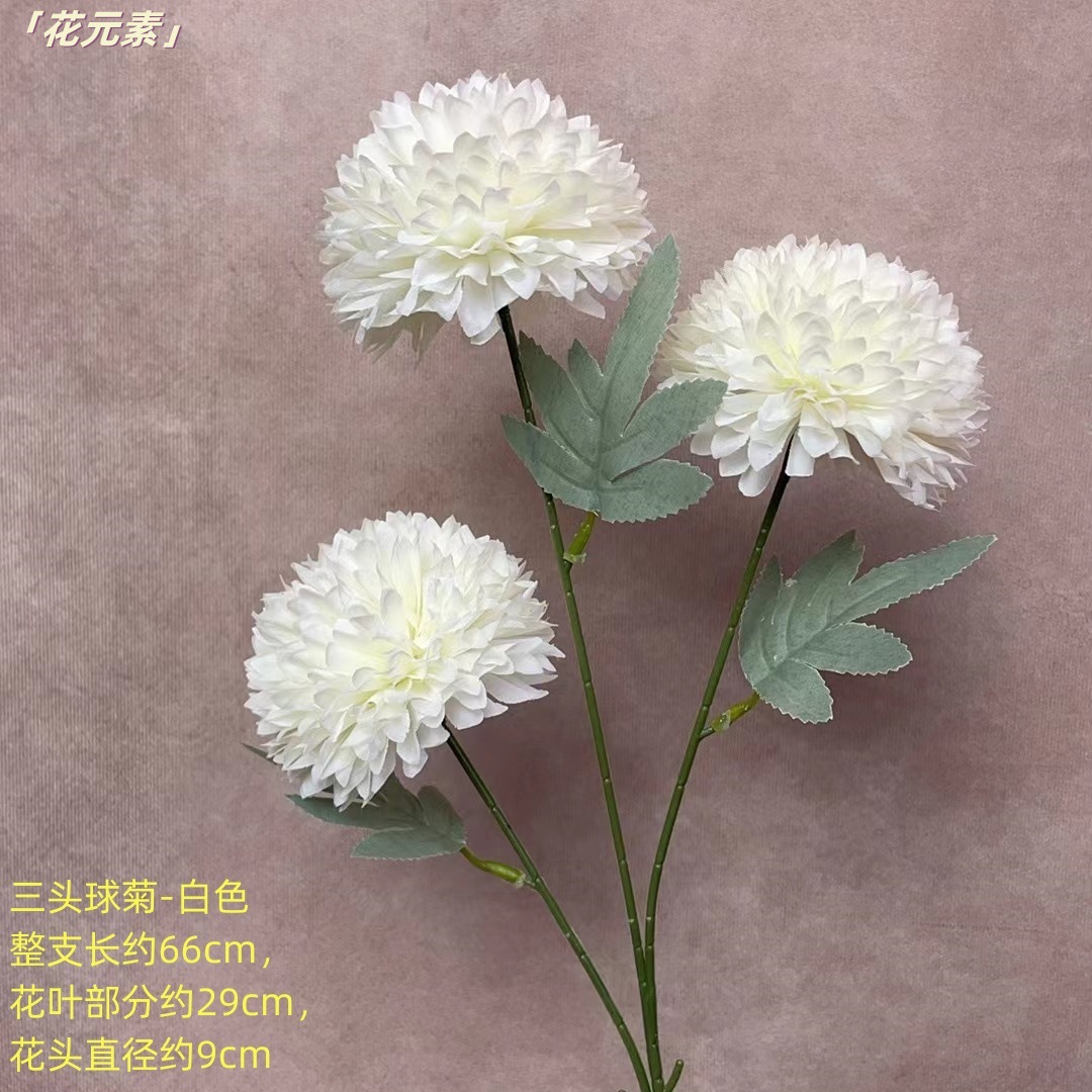 화이트