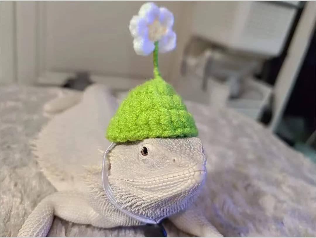 51k9Vaz07VL._AC_SL1080_