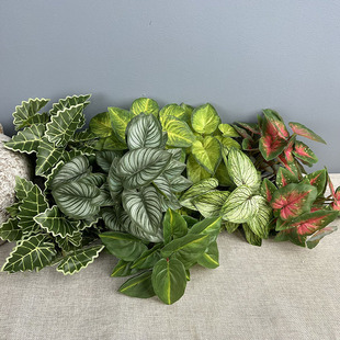 ����24�~���~��Gֲֲ��쾰�S������O���~�����~�b����~ֲ��