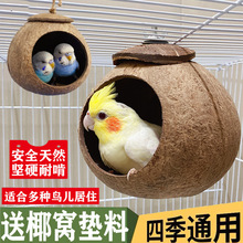 �W�^˯�C����Ҭ�Ӛ��B�C����ҧ��Ƥĵ�����������B˯�XҬ���\��Ʒ