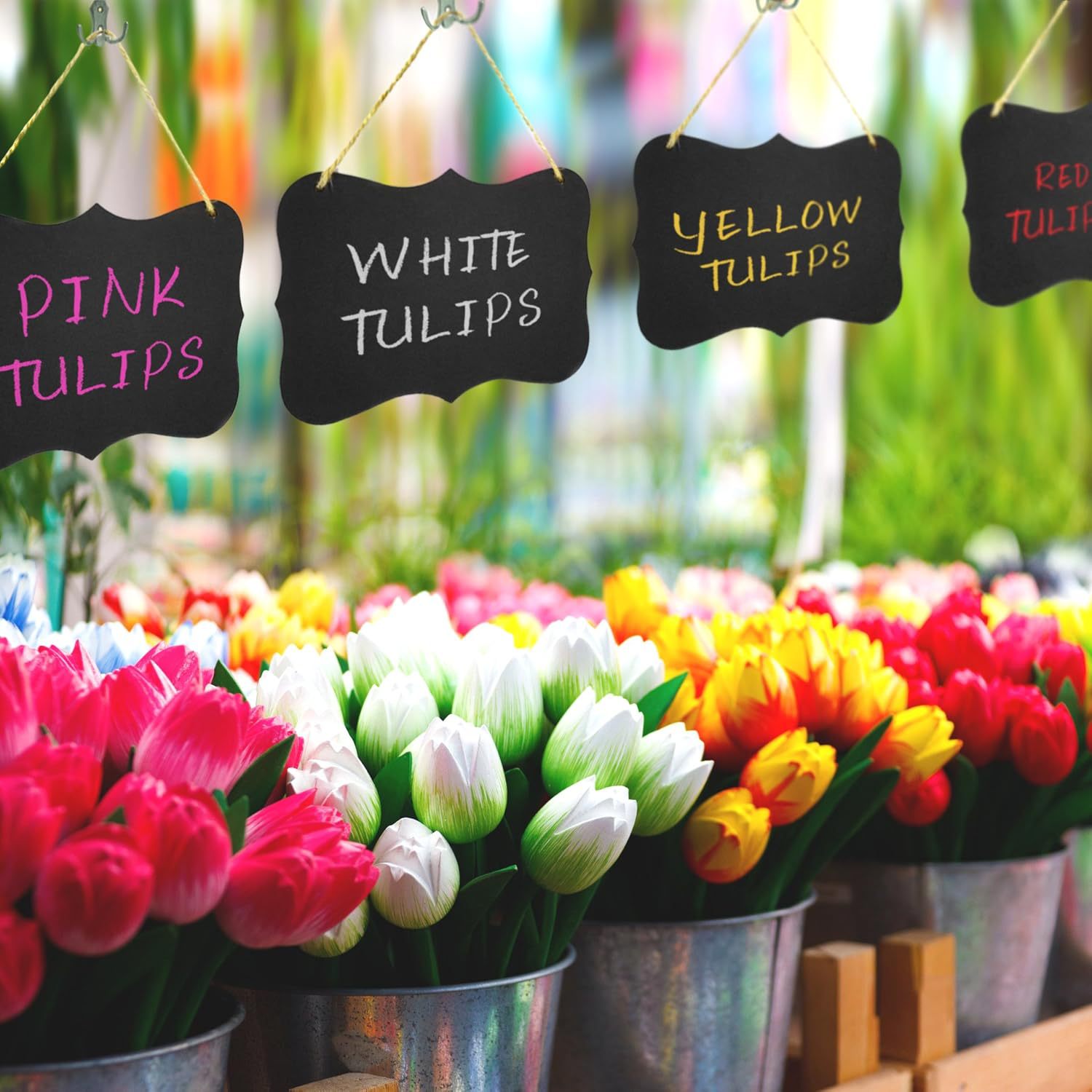 81A+rfzwlsL._AC_SL1500_