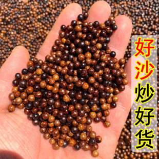 �����մɳ����Ǻ�ɫ��؛����ɳ���5�����ӽ�ɰɳɳ��������