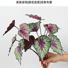 �߷����ָа���С���ԾGֲ��~�����~�ϼtֲ��������҃����b�