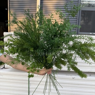 �Gɫϵ��c���滨��Y����̨���������J������횲ݲ廨�׾Gɫ����