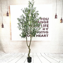 ���Sֱ�N���泣Ҏ�ϙ��Gֲ�������҃������Ͽv�����ϙ��Ӽ��k