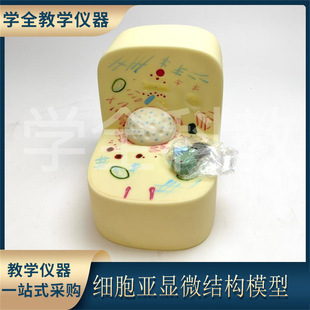 cell submicroscopic structure model early Senior high school biological experimental equipment middle school teaching equipment experimental equipment
