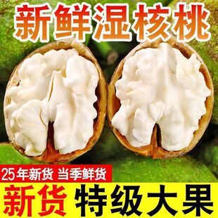 去青皮核桃2026新季处理指南与工具推荐