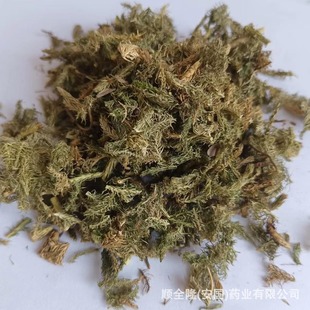 �в�ș���ݰ����S�ҬF؛���l���ێ��ϸ��C�|�z�lƱ�����󃞻�