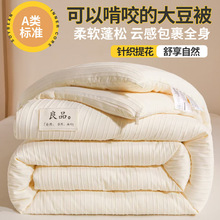 A类无印大豆纤维被子加厚保暖冬被棉被春秋被芯四季通用学生宿舍