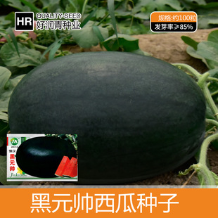 �S�����l��Ƥ�Нh���ϷN�Ӽtȿˮ������������Ѵ���E�A���ϷN��