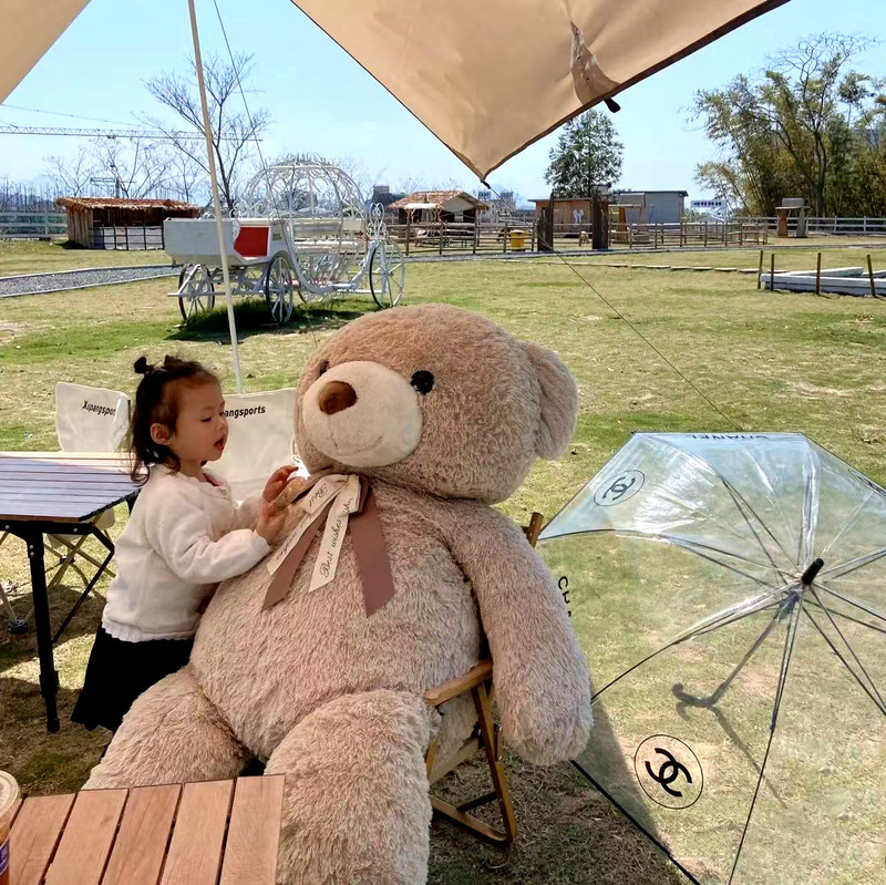 Oversized Teddy Bear Plush Toy Hug Bear Doll Panda Doll Bed Pillow Birthday Gift Doll Batch