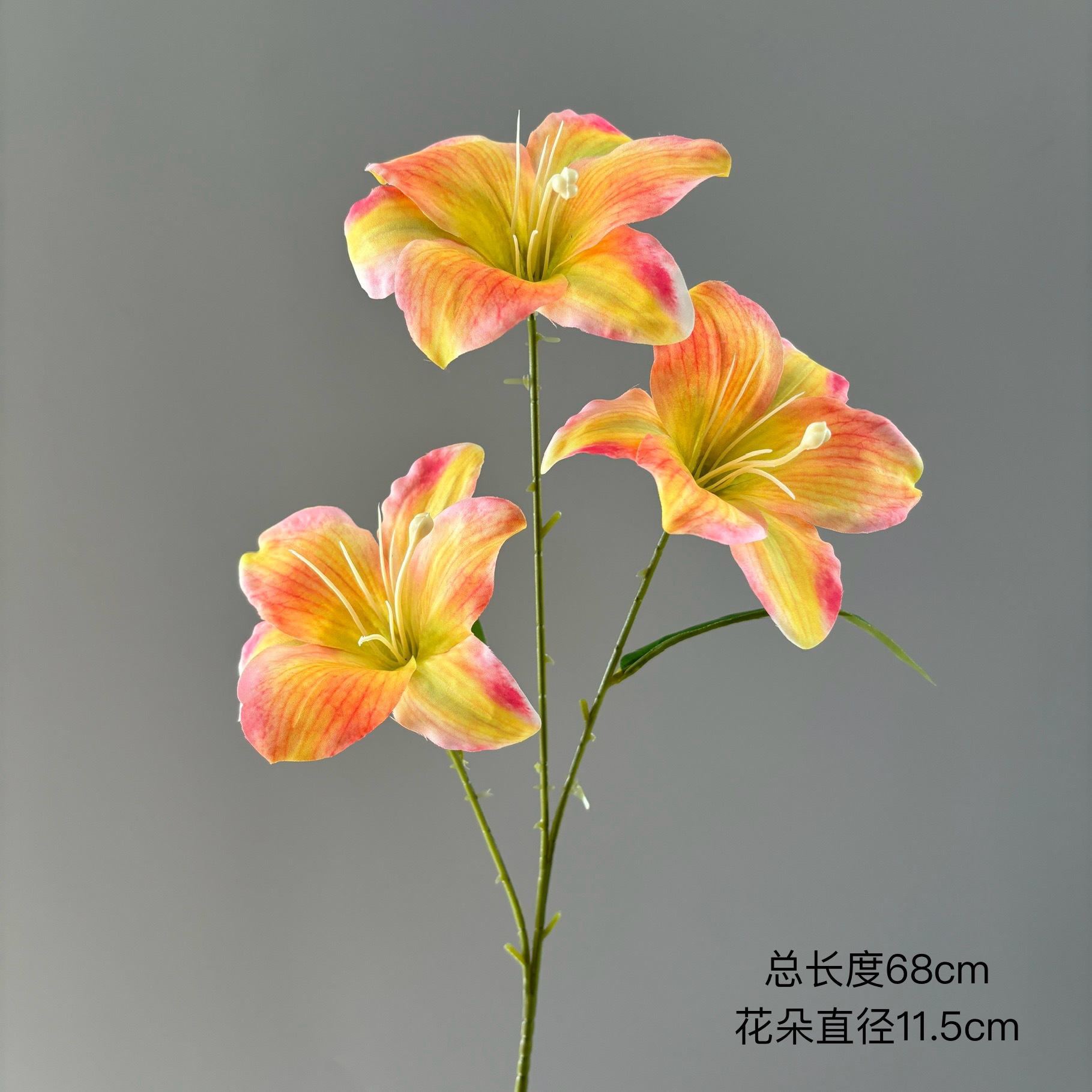밝은 오렌지색