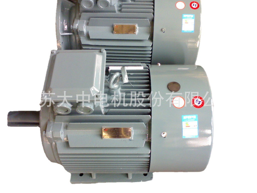 供江苏大中YE3-200L1-6-18.5KW高效率三相异步电机电动机