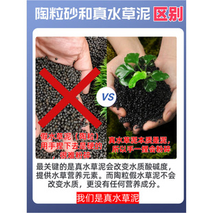 Aquatic Plant Mud Fish Tank Landscaping Bottom Sand Base Fertilizer Seed Planting Water Algae Bottom Sand Grass Tank No-Wash Purification Water Quality