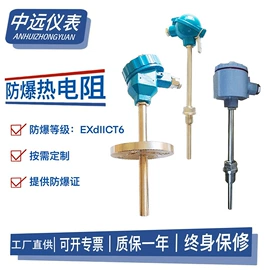 热电阻;压力表;热电偶