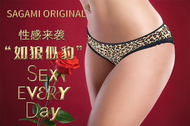 Women’s Leopard Print Lace Briefs Low-Rise Ice Silk Seamless Panties — detail image 2
