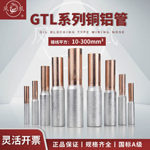 �~�X���X�~�B�ӹ��~�X���ӹ��~���X���B����GTL-10/16/25�P�˱���