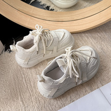 2025�궬�¿���^���޳������Ь�ӽq���e�ɸ����\��Ь