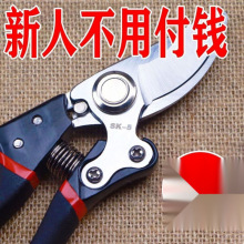 德工艺进口钢枝剪剪树剪子果树剪修枝剪刀家用花木葡萄修剪树枝
