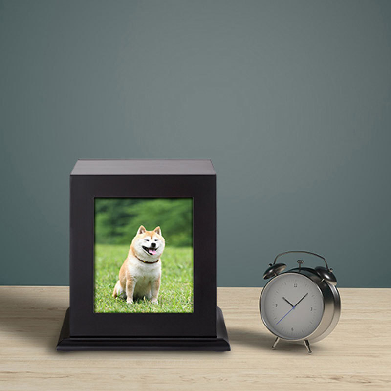 Transfronterizo en stock Cenizas negro base de madera maciza mascota memorial cinerario ataúd con marco de fotos perro funeral de madera maciza