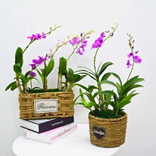 mmʯm҃kһ܃՚ļ_Gֲȩ