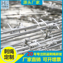厂家定制铁丝防爬刺网刺线刀片刺网防刺网防盗网防爬刺刺线