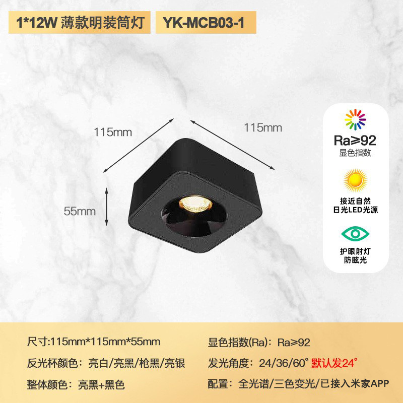 Single head 12w (all black model)