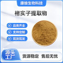 楮实子提取物多规格水溶楮实子粉含楮实子皂甙构树子提取物