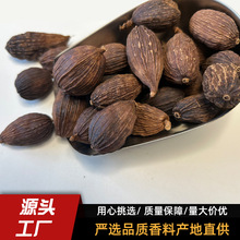 云南电烤大个头草果1斤批发炖肉香料调料干货商用无硫足干草果