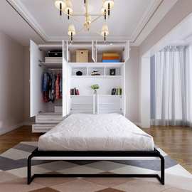 隐形床柜一体柜现代衣柜小户型竖翻隐藏床收纳床壁挂床折叠墨菲床