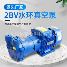 2BV系列水環真空泵 蒸餾器 油脂精煉設備抽煙汽 雕刻機專用水箱泵