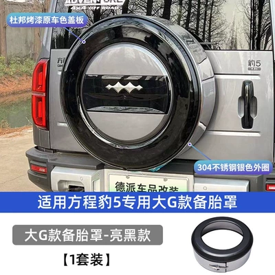 rear tire shell, stainless steel appearance, Spare wheel cover - equation-leopard-5-equator-5-large-g-model-spare-tire-cover-dupont-paint-glossy-black