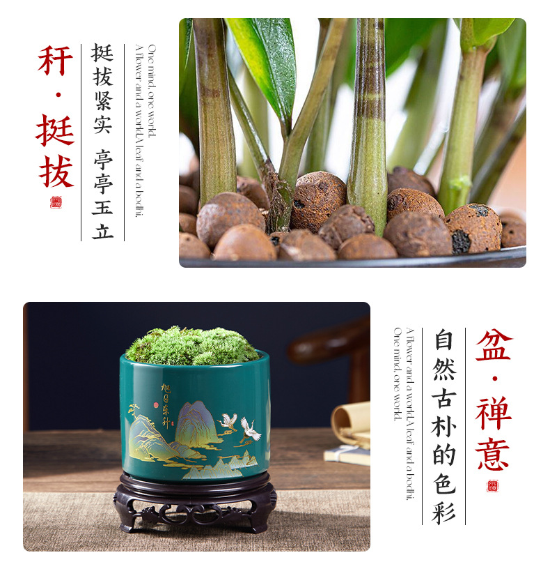 详情图