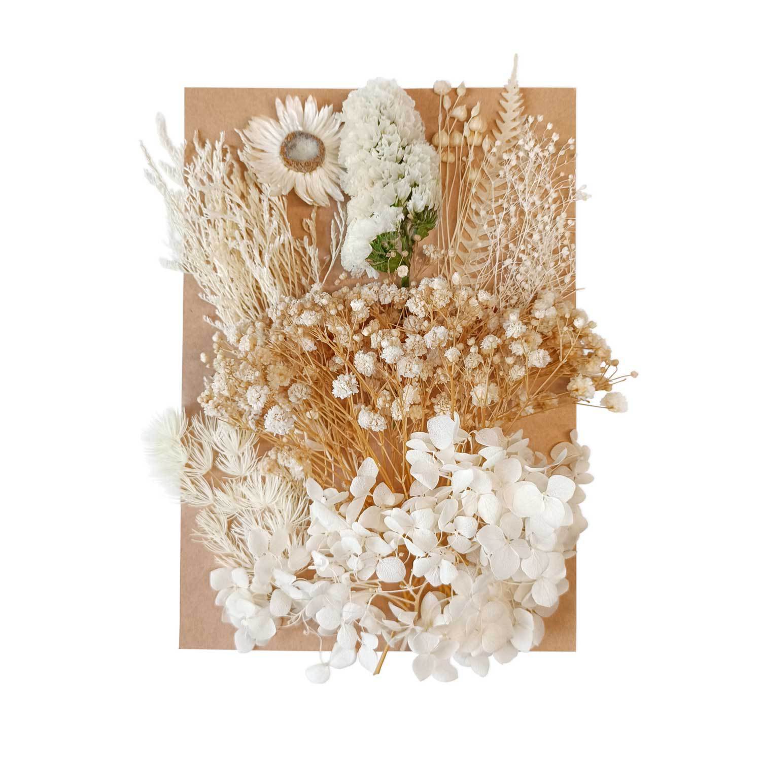 Flor seca flor eterna marco de fotos en relieve paquete de material combinación paquete de flores aromaterapia ventilador A5 bolsa de fábrica al por mayor transfronteriza