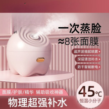 蒸脸仪热喷纳米补水保湿喷雾器面家用蒸汽机脸部深度清洁毛孔包邮