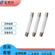 高压限流熔断器XRNT电压互感器PT保险熔管带熔夹