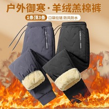 品牌外贸~专柜清仓宽松大码羊羔绒棉裤男冬季直筒保暖加厚羽绒裤