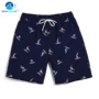 男士跨境速干印花沙滩裤